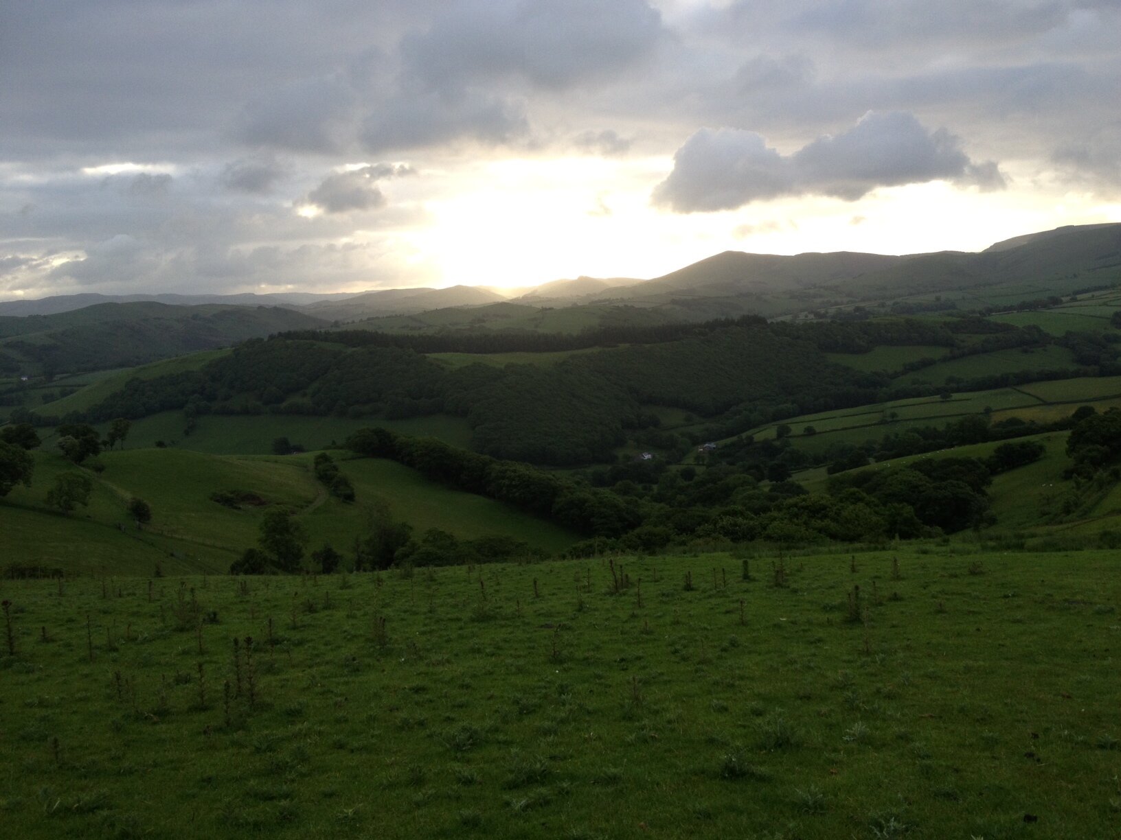 Wales (near Machynlleth) at 4.15 am on the longest day: bliss